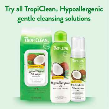 Tropiclean Hypo Allergenic Deodorizing Wipes 100 ct