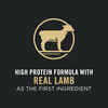 Purina Pro Plan Puppy Sensitive Skin & Stomach Lamb & Oat Meal Formula Dry Dog Food 16 lb Bag