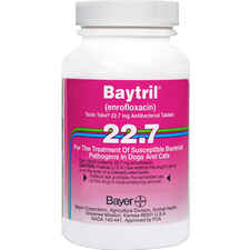 Baytril Taste Tabs 22.7 mg (sold per tablet)-product-tile
