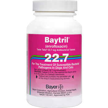 Baytril Taste Tabs 22.7 mg (sold per tablet) product detail number 1.0