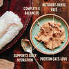 Wellness core grain free Indoor chicken Liver