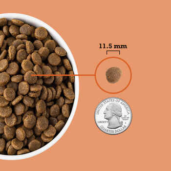 ACANA Puppy Recipe Grain-Free Dry Dog Food 4.5 lb Bag