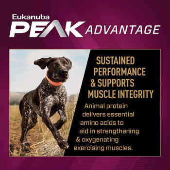 Eukanuba Premium Performance 30/20 Sport Adult Dry Dog Food 28 lb Bag