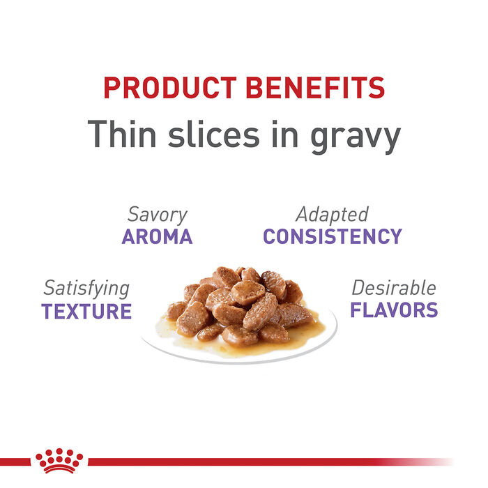Royal Canin Feline Health Nutrition Spayed / Neutered Thin Slices in Gravy Adult Wet Cat Food
