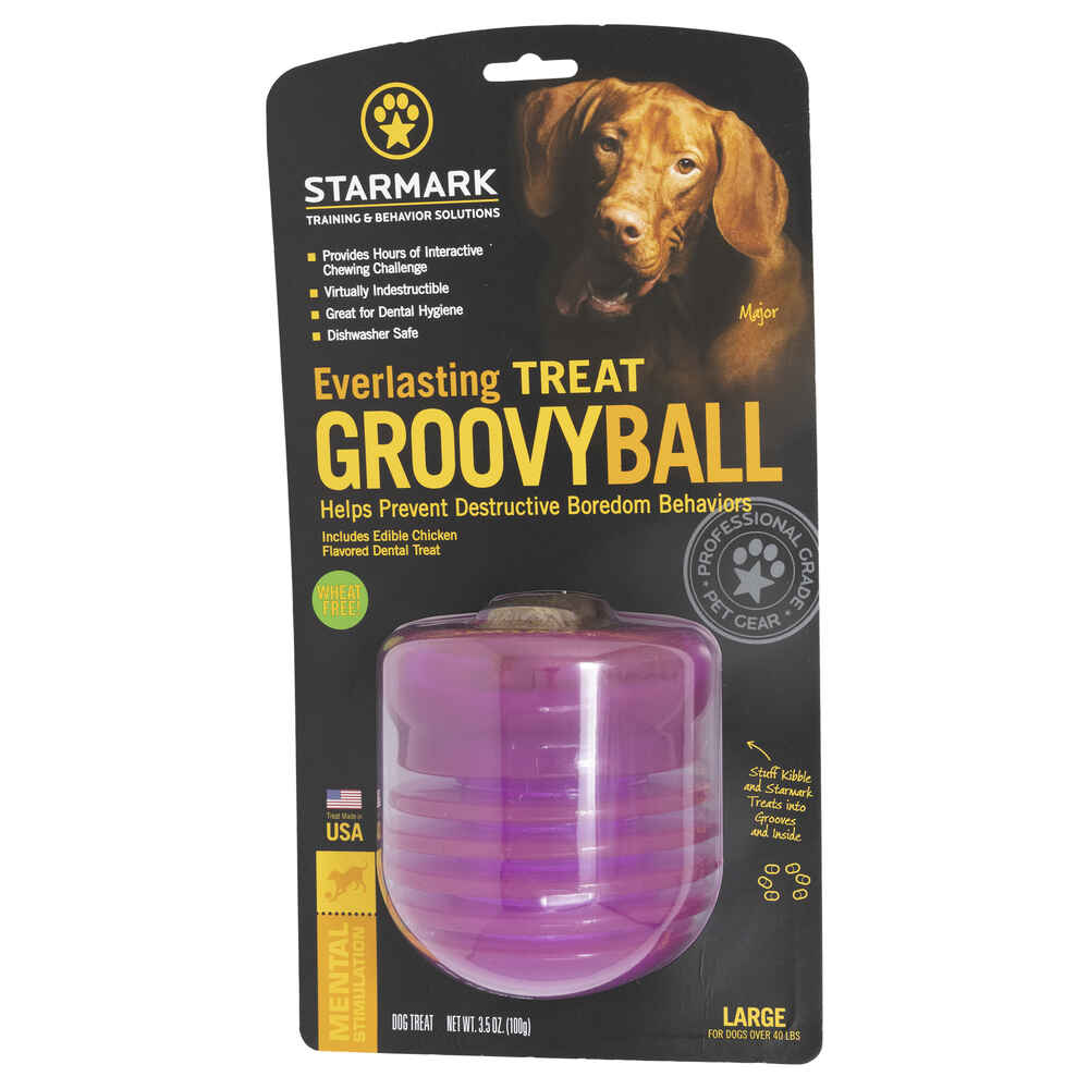 Starmark Everlasting Groovy Ball
