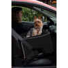 Medium Dog Car Booster Seat Black
