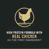 Purina Pro Plan Adult Complete Essentials Shredded Blend Chicken & Rice Formula