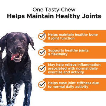 Pet Honesty Hip + Joint Health Chicken Flavored Soft Chews Hip and Joint Mobility Supplement for Dogs 90 Count