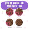 Weruva BFF Tuna & Beef Baby Cakes Recipe Pouches Wet Cat food 12 3-oz Packs
