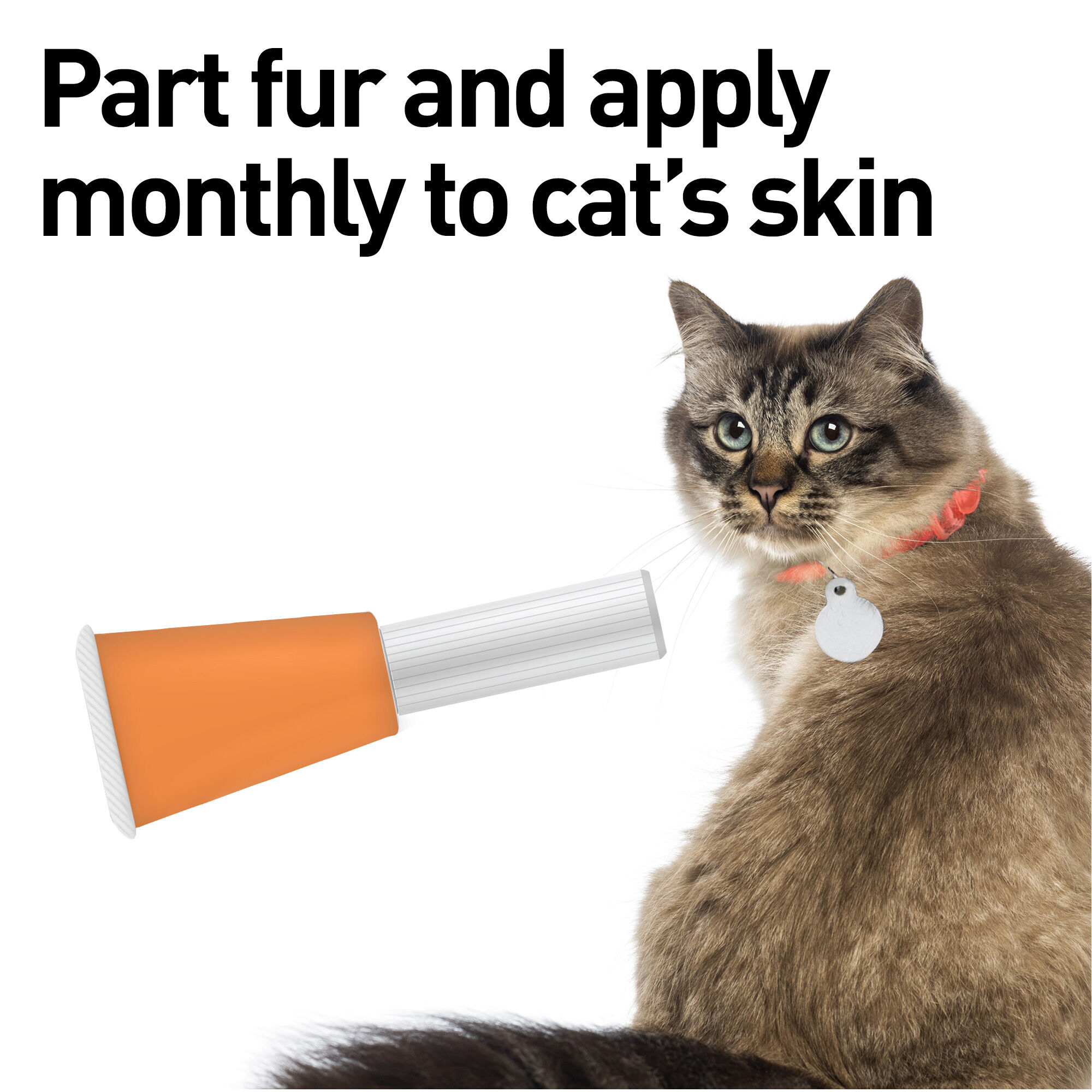advantage multi topical solution for cats
