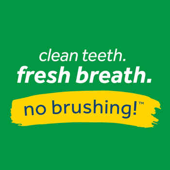 TropiClean Fresh Breath Oral Care Fresh Mint Foam