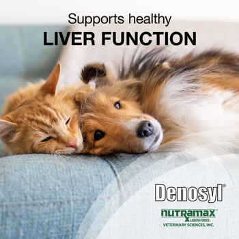 Nutramax Denosyl Liver and Brain Health Supplement, With S-Adenosylmethionine (SAMe)