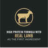 Purina Pro Plan Adult Small Breed Shredded Blend Lamb & Rice Formula