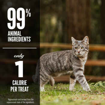 ORIJEN Six Fish Freeze-Dried Cat Treats 1.25 oz Bag