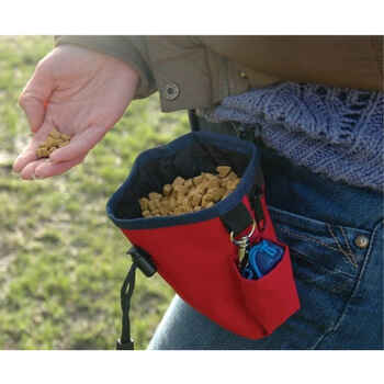 Company Of Animals Treat Bag Red