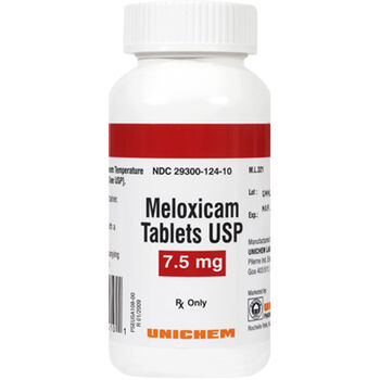 Meloxicam is a pain reliever for dogs