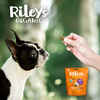 Riley's Organic Pumpkin Coconut Small Bone Dog Treats 5oz