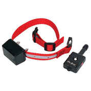 Innotek Dog Training Collar with Remote