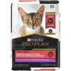 Purina Pro Plan Adult Sensitive Skin & Stomach Turkey & Oat Meal Formula Dry Cat Food 12.5 lb Bag