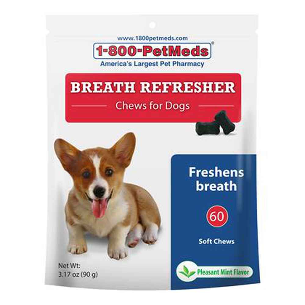 How Can I Freshen My Dogs Breath