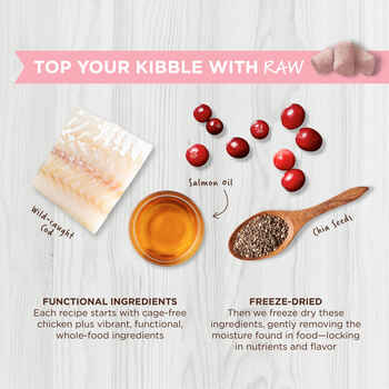 Instinct Raw Boost Mixers Grain Free Skin & Coat Health Freeze Dried Raw Cat Food Topper 5.5 oz Pouch