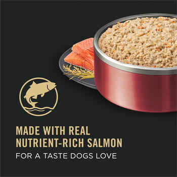 Purina Pro Plan Adult Sensitive Skin & Stomach Salmon & Rice Entree Wet Dog Food 13 oz Cans (Case of 12)