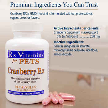Rx Vitamins for Pets Cranberry Rx for Dogs & Cats 90ct