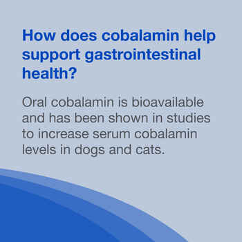Nutramax Cobalequin B12 Supplement Cats and Small Dogs, 45 Chewable Tablets