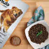 Nulo Freestyle Adult Trim Grain-Free Cod & Lentils Dry Dog Food 4.5 lb Bag
