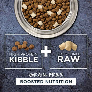 Instinct Raw Boost Grain-Free Real Salmon Recipe High Protein Freeze-Dried Raw Dry Dog Food  - 19 lb Bag
