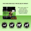 Pet Honesty Digestive Probiotics Pumpkin Flavored Soft Chews Probiotic Supplement for Dogs