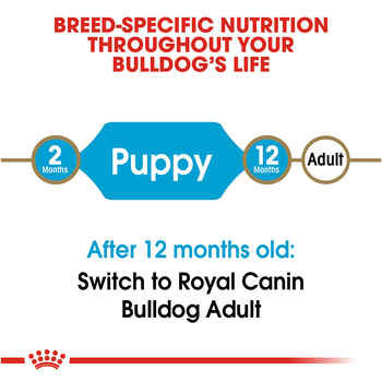 Royal Canin Breed Health Nutrition Bulldog Puppy Dry Dog Food - 6 lb Bag