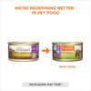 Instinct Original Grain-Free Rabbit Formula Wet Cat Food 5.5 oz Cans - Case of 12