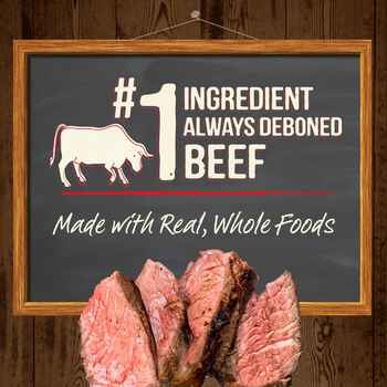 Merrick Power Bites Real Texas Beef Dog Treats 6-oz
