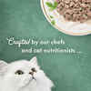 Fancy Feast Medleys Tuna Florentine Wet Cat Food 3 oz. Can - Case of 24