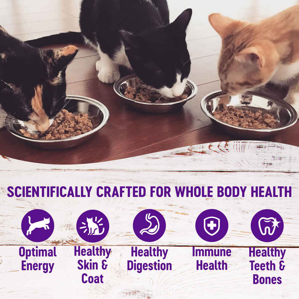 Wellness Complete Health Pate Chicken & Lobster Dinner Wet Cat Food