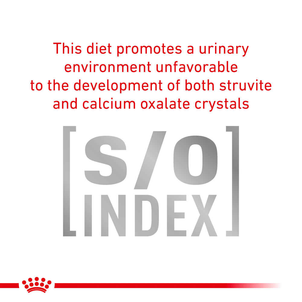 Royal Canin Veterinary Diet Canine Urinary Dog Treats