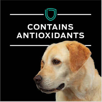 Purina Pro Plan Veterinary Diets EN Gastroenteric Canine Formula Wet Dog Food - (12) 13.4 oz. Can