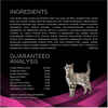 Purina Pro Plan Veterinary Diets UR Urinary St/Ox Feline Formula Dry Cat Food - 6 lb. Bag