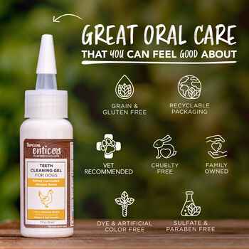 TropiClean Enticers Teeth Cleaning Gel for Dogs Honey/Chicken 2 oz