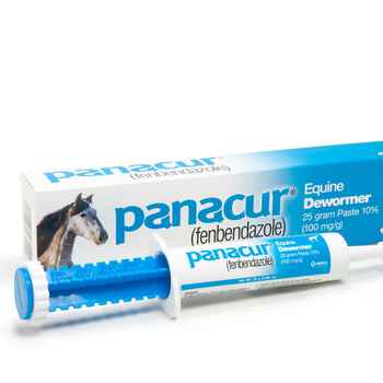 Panacur Paste Equine Dewormer