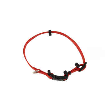 SecureAway™ Flea Collar Protectors Red, Extra Small - 5/8" x 8"-12" product detail number 1.0