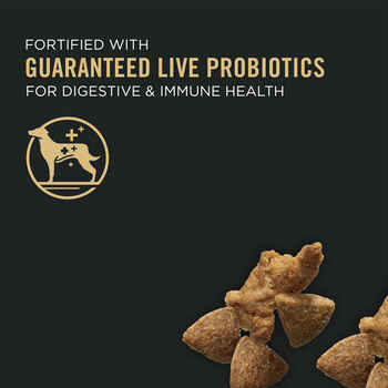 Purina Pro Plan Adult Complete Essentials Shredded Blend Turkey & Rice Probiotic Dry Dog Food