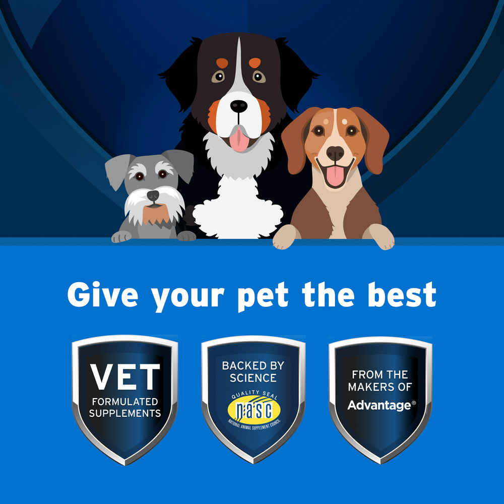 Pet Protect Vet-Formulated Daily Multivitamin DVM Soft Chews for Dogs