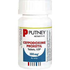 Cefpodoxime Proxetil 100 mg (sold per tablet)-product-tile
