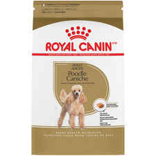 Royal Canin Breed Health Nutrition Poodle Adult Dry Dog Food-product-tile