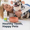 Oxyfresh Premium Pet Dental Water Additive Bad Breath Solution for Dogs & Cats 16 oz Bottle