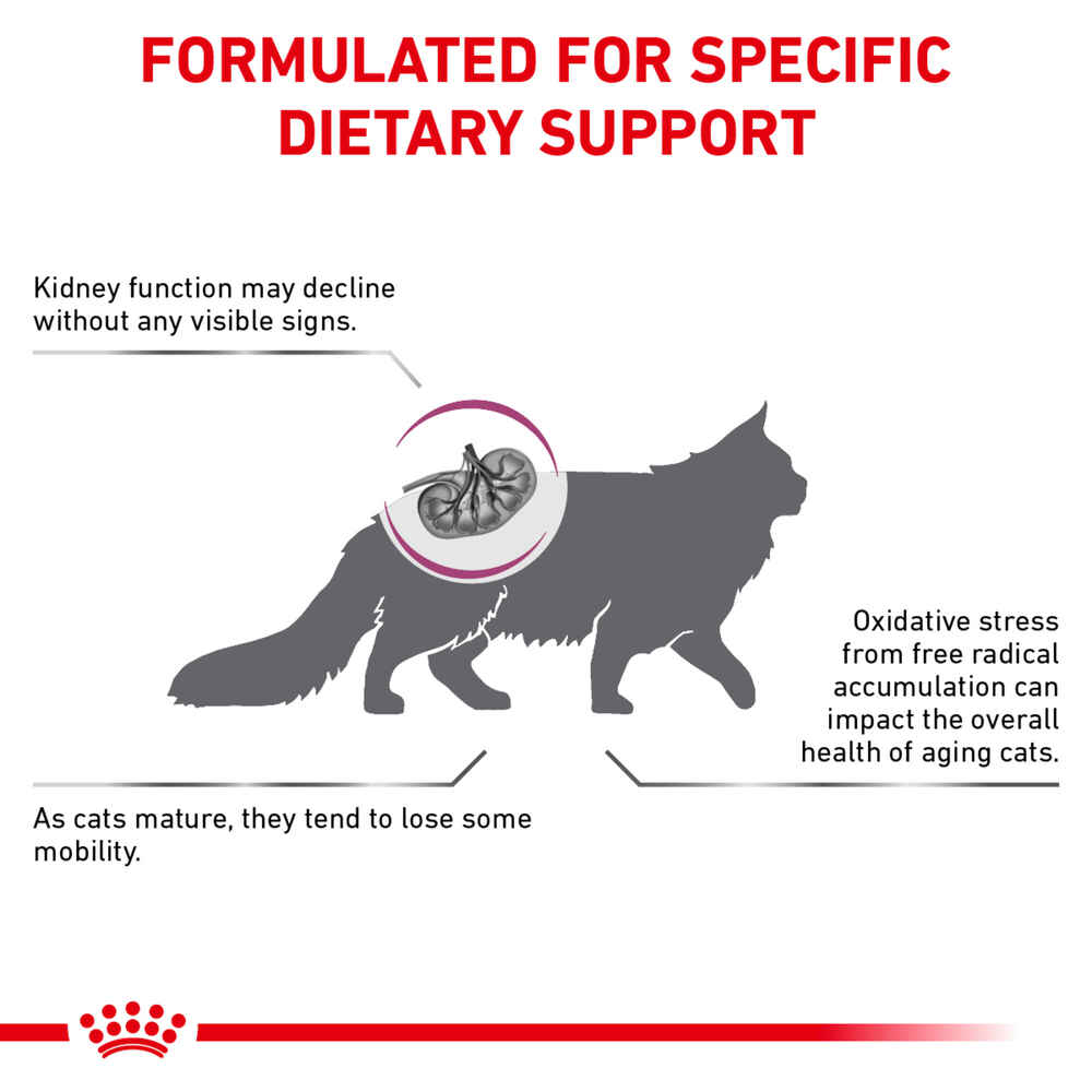 Royal Canin Veterinary Diet Feline Renal Support Early Consult Dry Cat Food