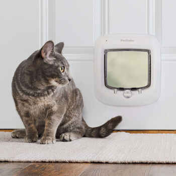 PetSafe Microchip Cat Door  product detail number 1.0