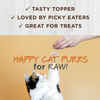 Instinct Raw Boost Mixers Grain Free Skin & Coat Health Freeze Dried Raw Cat Food Topper 5.5 oz Pouch